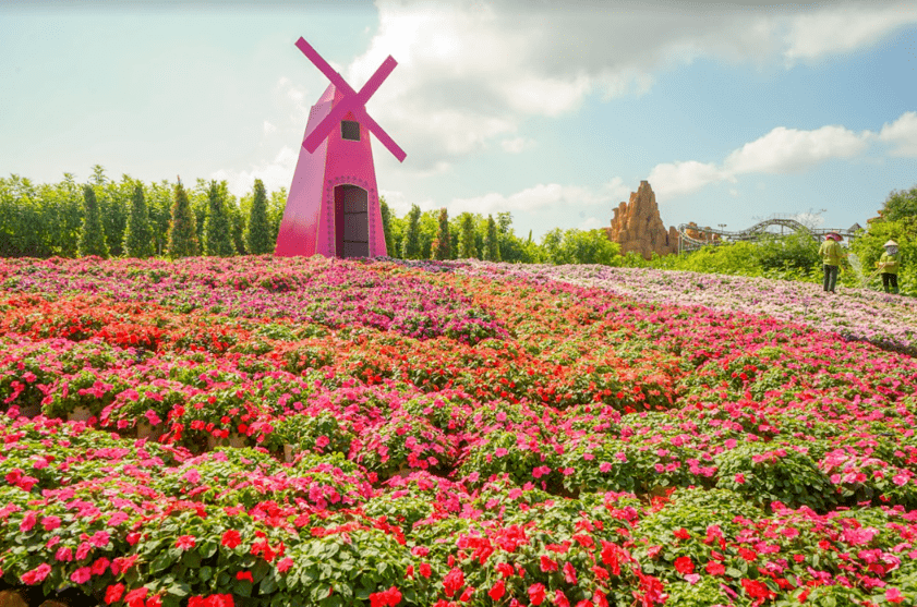 Sắc hoa rực rỡ bên trong VinWonders Nam Hội An