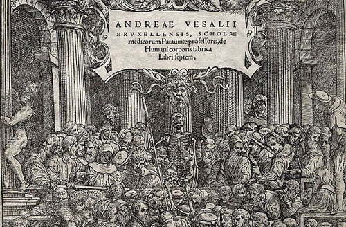 Những cột mốc trong lịch sử y học
